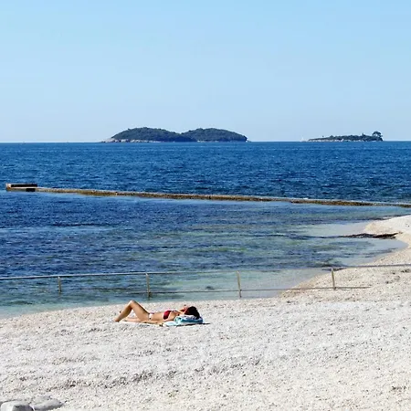 Family Friendly Apartments With A Swimming Pool Rovinj - 3394 Apartment