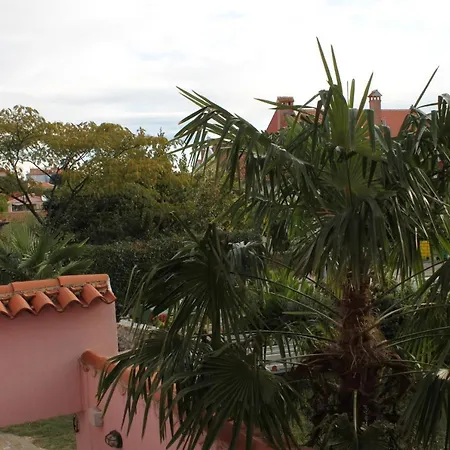 Apartment Family Friendly Apartments With A Swimming Pool Rovinj - 3394