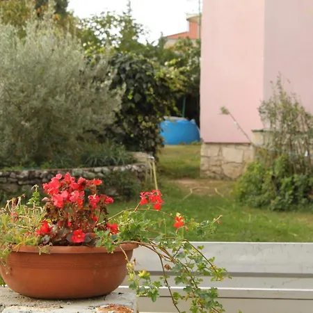 Family-friendly With Swimming Pool - 3394 Rovinj